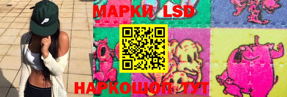 Чебаркуль  omg как войти  Вход с VPN  LSD-25 экстази кислота  Лсд 25 экстази кислота 