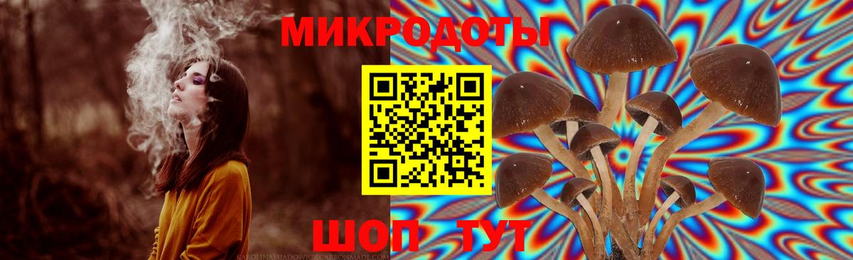 купить наркотик  Галлюциногенные грибы ЛСД  Вход с VPN  Чебаркуль 
